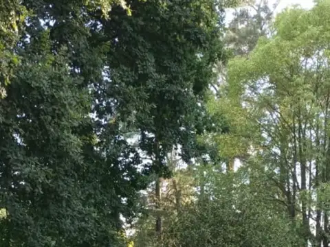 Quinta en Venta en Francisco Alvarez, USD 250.000