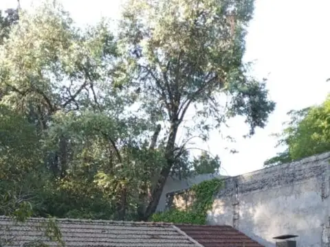 Quinta en Venta de 3 dormitorios