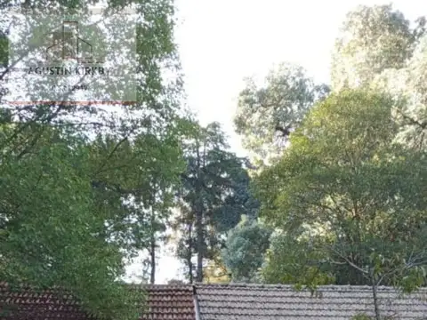 Quinta - Francisco Alvarez