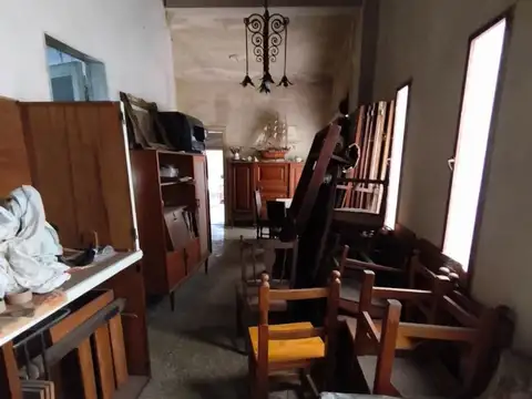 Campichuelo 3000