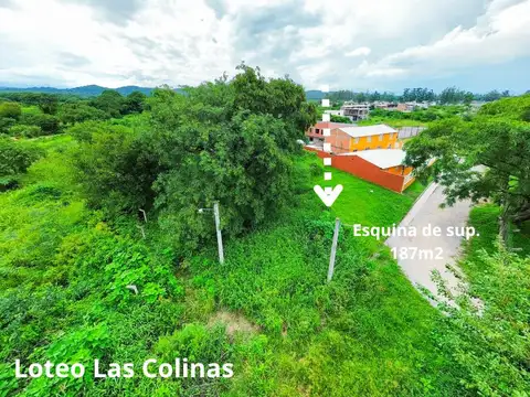 Colectora Ruta 9 - LAS COLINAS