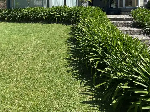 El Barranco - 100