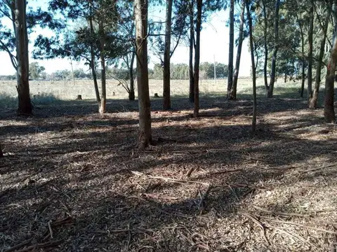 VENTA DE CAMPO, BERISSO