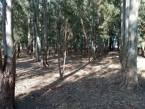 paraje el pescado