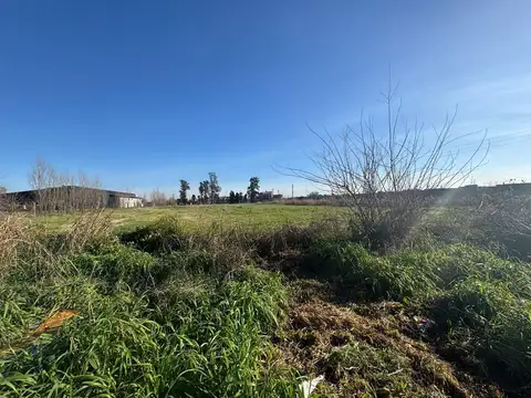 Chacra en Alquiler en Merlo Libertad 1 Hectarea