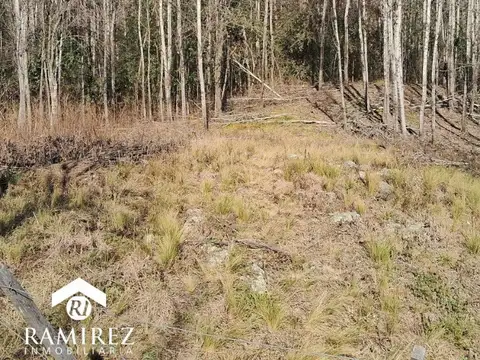 EN VENTA LOTES EN VILLA YACANTO