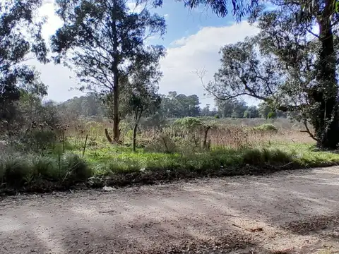 Terreno en Venta de 449,0 m2