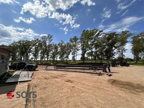 Venta-Alquiler Nave Industrial sobre Ruta 19, Malvinas Argentinas, Córdoba