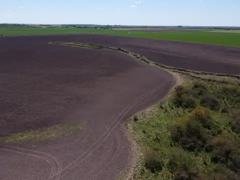 Campo en Venta de 115  ha