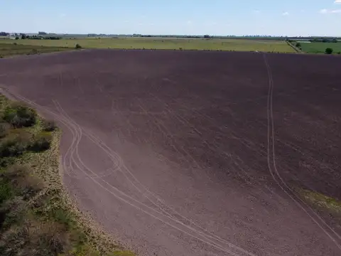 115 has campo agrícola ganader