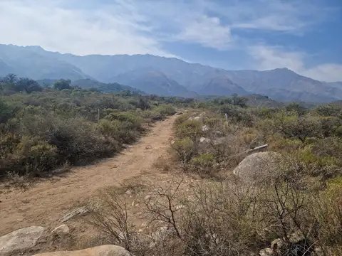 Terreno en Venta de 9000,0 m2