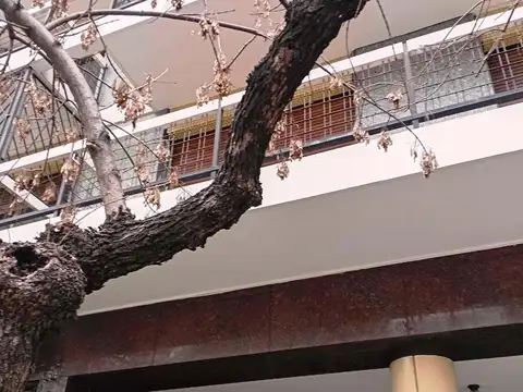 2 AMB AMPLIOS IMPECABLE  EDIFICIO CASTELBAJAC! 50 M2
