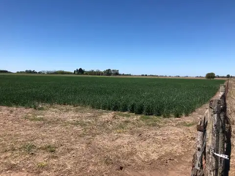 96 HAS EN SAN ANDRES DE GILES