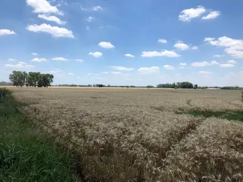 96 HAS EN SAN ANDRES DE GILES