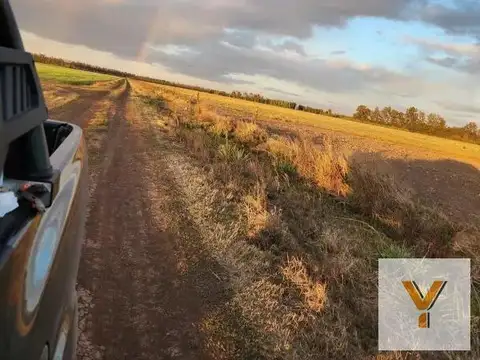 Ruta Nacional 9 Km 169