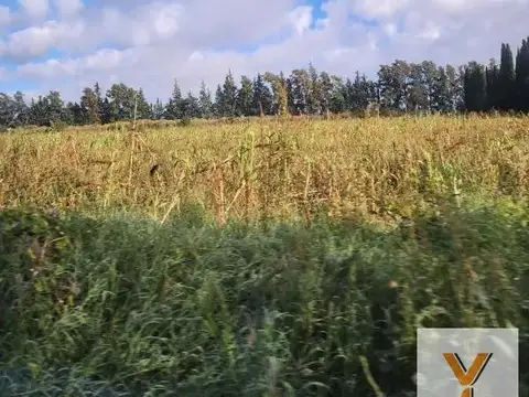 Ruta Nacional 9 Km 169