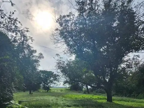 Chacra en venta - 5ha - San Pedro