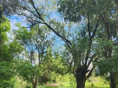 Chacra en venta - 5ha - San Pedro