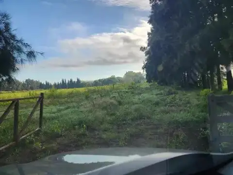 Chacra en venta - 5ha - San Pedro