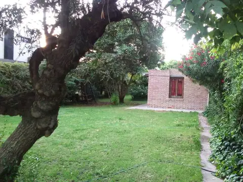 Rodríguez 1800