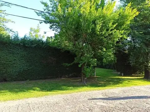 general manuel savio al 2200