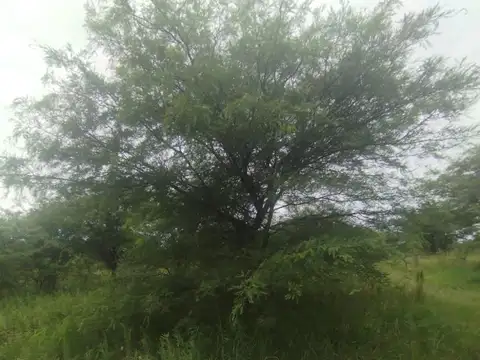 Terreno en Venta 122  mts Fondo