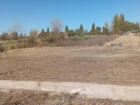 Terreno en Venta en Colonia las Rosas, USD 13.000