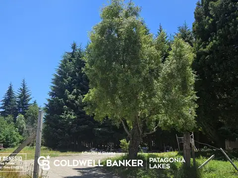 Terreno en Venta de 1832,0 m2