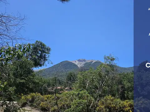 Terreno en Venta 31  mts Frente