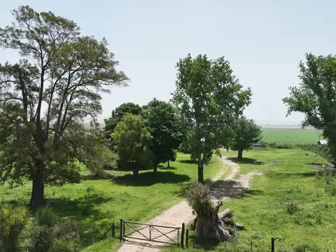 Campo en Venta de 15  ha