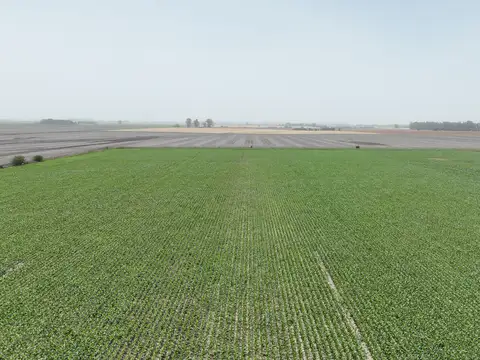 Chacra en venta en Capitan Sarmiento