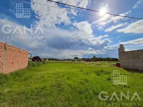 buen orden y paraguay