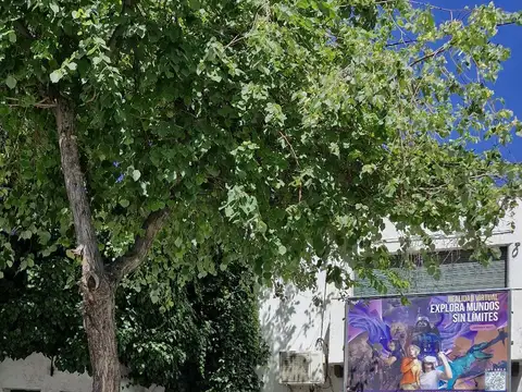 Casa en Venta de 6 dormitorios