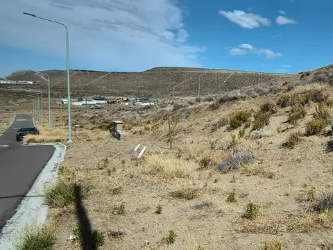 Alfonsina Storni 100