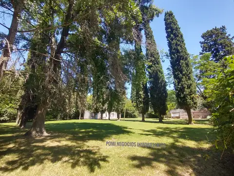 La Lonja, PAUNERO 1900