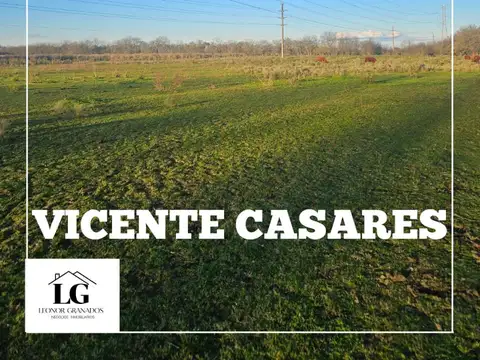 Campo de 4 hectáreas en venta en Vicente Casares cerca Autopista Ezeiza Cañuelas