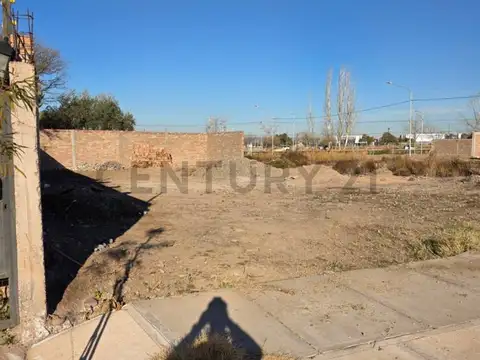 Vasijas , Piso 0
