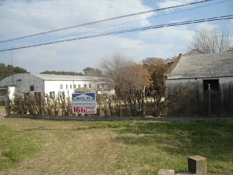 Tropero Moreira  2150