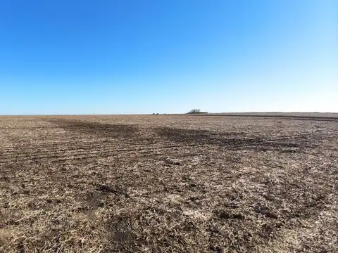 Campo en Venta de 42  ha