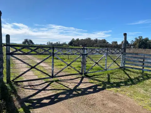 CASI REGALADO 120 HECTÁREAS EN DEL CARRIL  PDO DE SALADILLO
