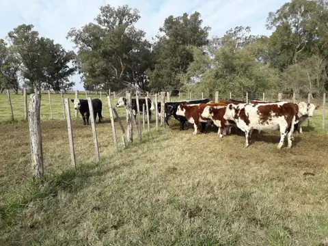 Campo en Venta de 119  ha