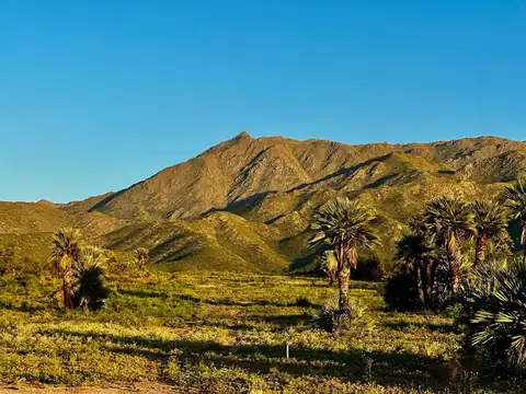 Terreno en Venta en Papagayos, USD 410.000