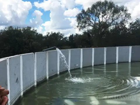 2500 ha ganaderas, con silvopastoril y estructura armada. Taco Pozo, Chaco