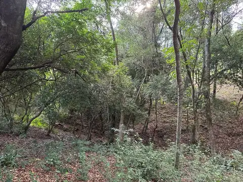 Terreno en Venta de 3995,0 m2