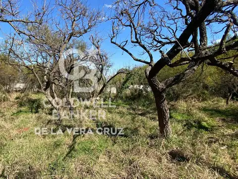 Terreno en Venta de 800,0 m2