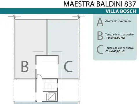 MAESTRA BALDINI 837