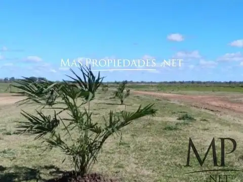 Terreno en Venta 20  mts Fondo