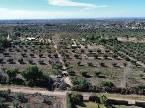 VENTA DE FINCA EN LUNLUNTA