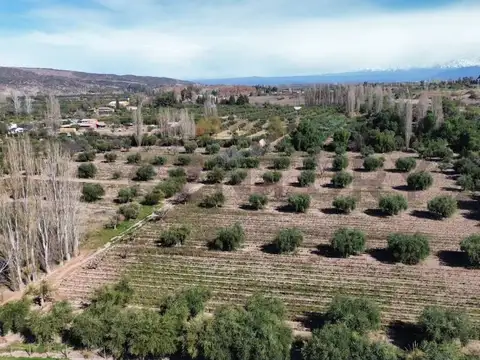 VENTA DE FINCA EN LUNLUNTA