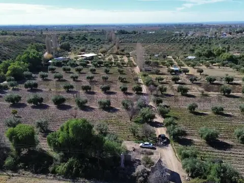 LA FALDA , Piso 0
